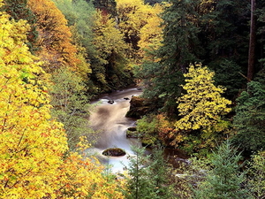 herfst-natuur-trein-waterval-achtergrond