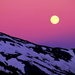 natuur-maan-volle-paarse-achtergrond