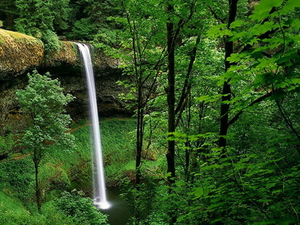 waterval-natuur-oudgroeiend-bos-woud-achtergrond