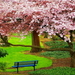 bloemen-natuur-bloesem-voorjaar-achtergrond