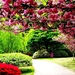 voorjaar-bloemen-roze-struik-achtergrond