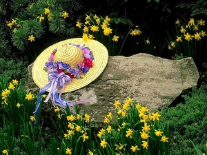 bloemen-gele-weide-voorjaar-achtergrond