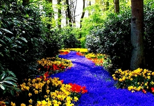 natuur-tuin-bloemen-botanische-achtergrond