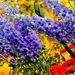 bloemen-bloem-mozaiek-lavendel-wildflower-achtergrond