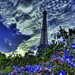 hdr-fotos-natuur-blauwe-lavendel-achtergrond