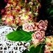 mode-bloemen-roos-boeket-achtergrond