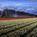 nederland-veld-boerderij-natuur-achtergrond