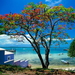 strand-natuur-caraiben-zee-achtergrond