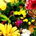 vlinder-bloemen-insecten-gele-achtergrond