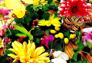 vlinder-bloemen-insecten-gele-achtergrond