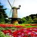 windmolen-bloemen-botanische-tuin-achtergrond