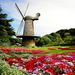 windmolen-botanische-tuin-bloemen-achtergrond