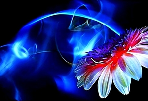 fantastische-bloemen-licht-elektrische-blauwe-fractal-achtergrond