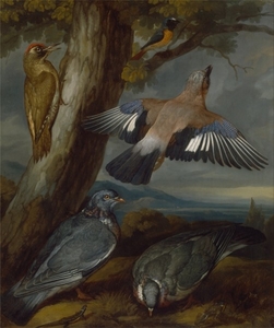 francis_barlow___jay__green_woodpecker__pigeons__and_redstart___g