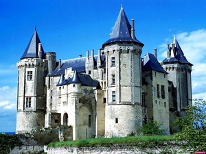 regionaal-natuurpark-loire-anjou-touraine-kasteel-middeleeuwse-ar