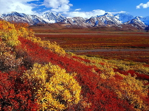 alaska-natuur-toendra-bergen-achtergrond