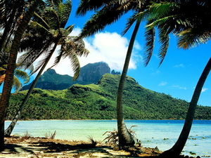 eilanden-natuur-tropen-palmboom-achtergrond