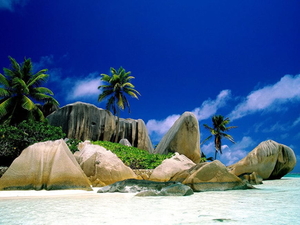 mooie-lucht-natuur-tropen-palmboom-achtergrond