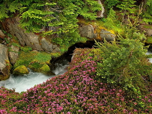 rivier-natuur-stroom-waterval-achtergrond