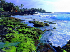 hawai-natuur-oceaan-strand-achtergrond