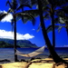 hawai-natuur-tropen-palmboom-achtergrond (1)