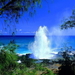 hawai-natuur-tropen-zee-achtergrond