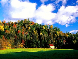 herfst-natuur-wolken-groene-achtergrond