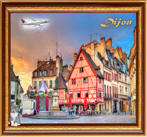 mooie stad Dijon