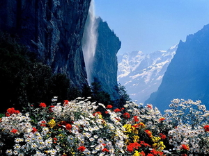 besneeuwde-bergen-natuur-bloemen-achtergrond