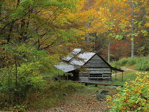 herfst-landschap-natuur-blokhut-achtergrond