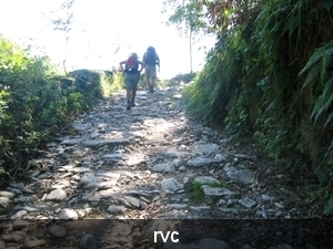 De moeilijke klim naar O Cebreiro, hier over de Romeinse stenen