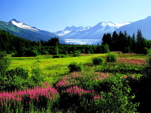 bergen-natuur-hoogland-bloemen-achtergrond (1)