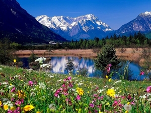 duitsland-natuur-bergen-bloemen-achtergrond