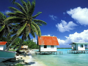frans-polynesie-natuur-palmboom-strand-achtergrond