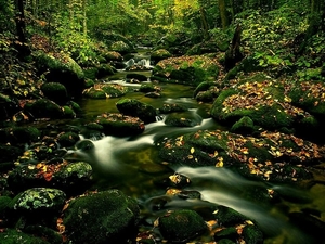 rivier-natuur-stroom-herfst-achtergrond