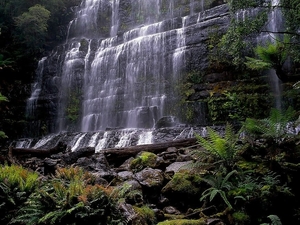 waterval-natuur-australie-oudgroeiend-bos-achtergrond