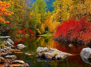 herfst-natuur-reflectie-bergrivier-achtergrond