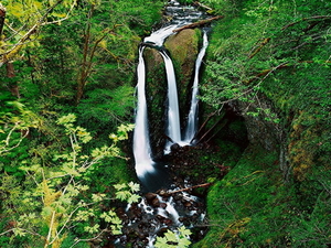 waterval-natuur-woud-groene-achtergrond
