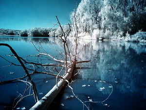 winter-natuur-meer-blauwe-achtergrond