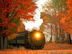 spoorweg-natuur-trein-herfst-achtergrond