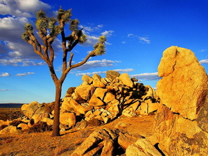 woestijn-natuur-rotsen-bergen-achtergrond