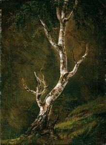 johan_christian_dahl_-_study_of_a_birch_tree_-_google_art_project