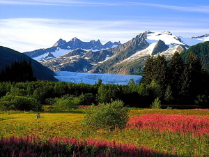 alaska-bergen-natuur-bloemen-achtergrond