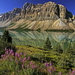 canada-bergen-natuur-bloemen-achtergrond