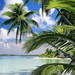 eilanden-tropen-natuur-palmboom-achtergrond