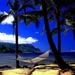 hawai-natuur-tropen-palmboom-achtergrond