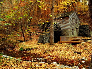 huis-natuur-herfst-woud-achtergrond