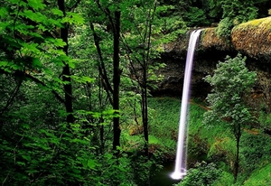 natuur-oudgroeiend-bos-woud-waterval-achtergrond