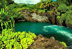 natuur-rotsen-tropen-groene-achtergrond