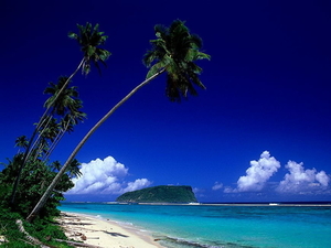 eilanden-tropen-natuur-palmboom-achtergrond
